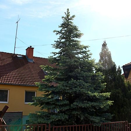 Dom Studia Petra Hotel Štúrovo Eksteriør billede