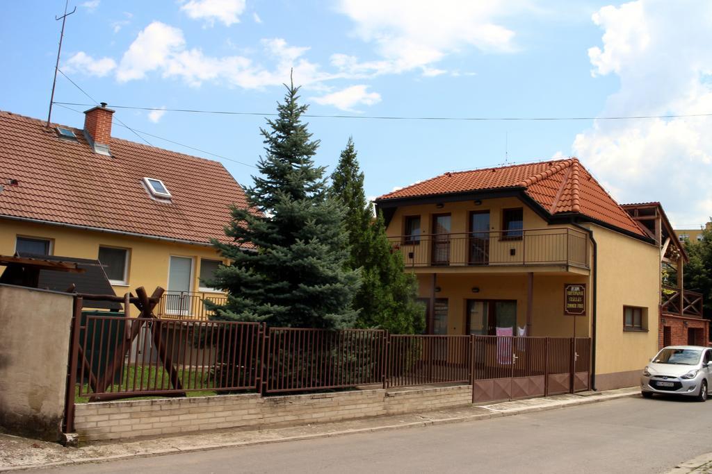 Dom Studia Petra Hotel Štúrovo Eksteriør billede